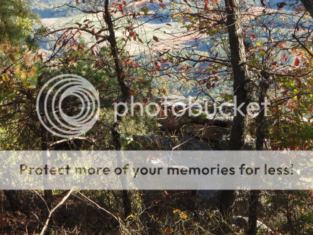 Pilot Mountain & Mt. Airy Photos (King rentals, camp, move) North